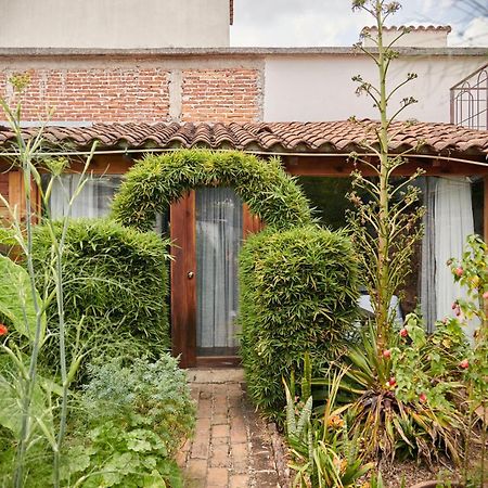 Sereno Hotel San Cristóbal de Las Casas 외부 사진