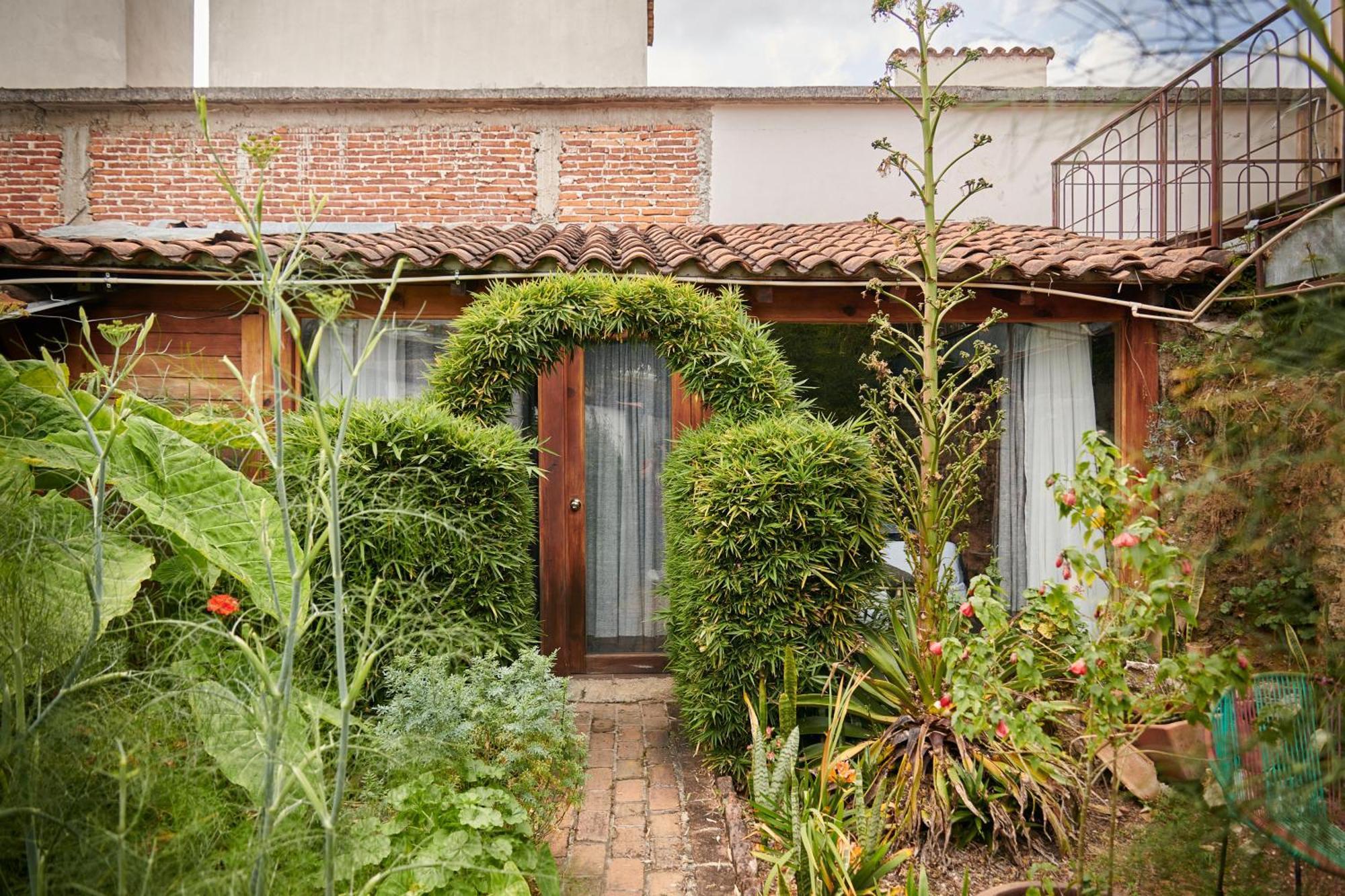 Sereno Hotel San Cristóbal de Las Casas 외부 사진